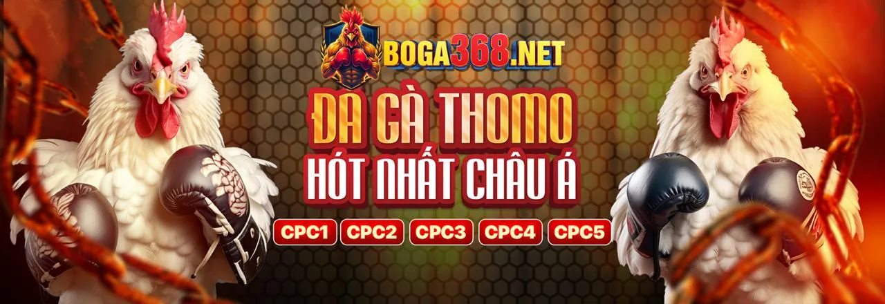 Đá Gà Trực Tuyến ok 789